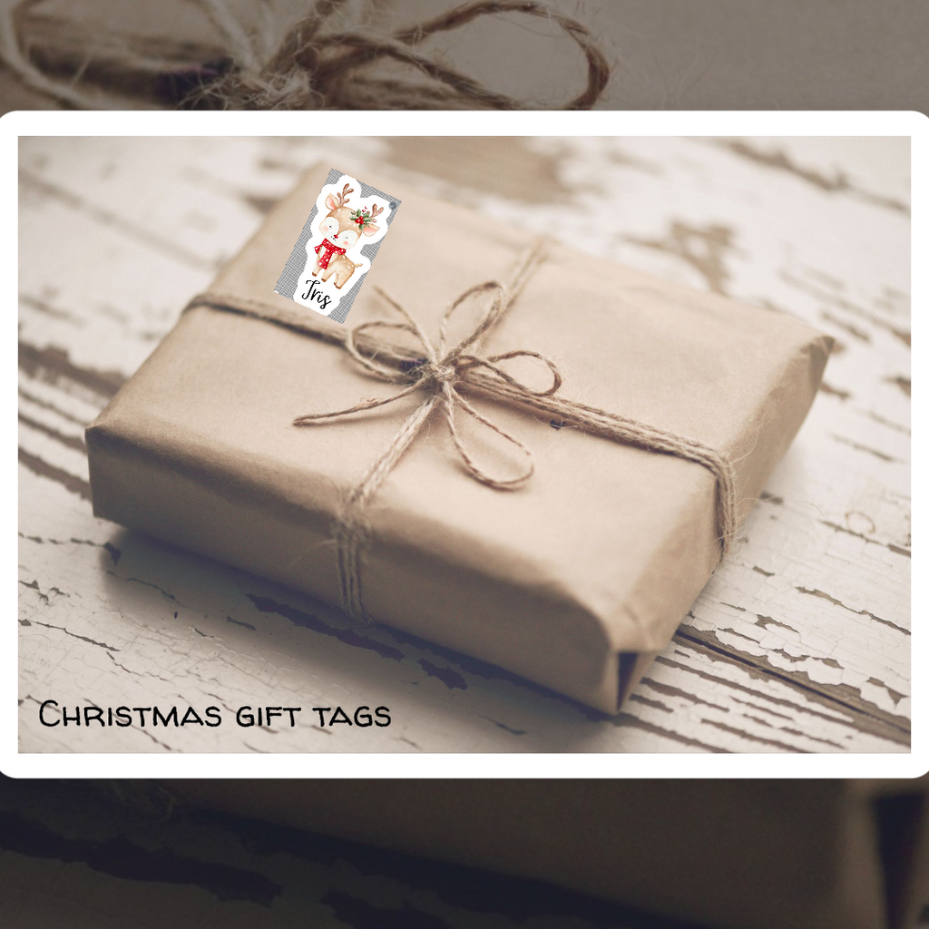 Christmas name tag stickers (10pk)