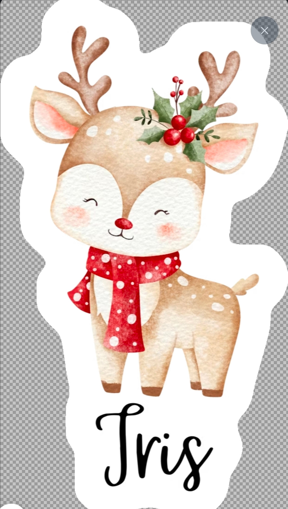 Christmas name tag stickers (10pk)