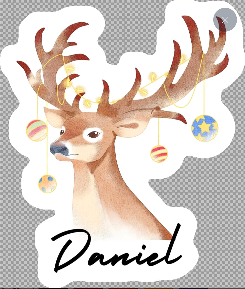 Christmas name tag stickers (10pk)